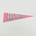 college pennant decoration arcade