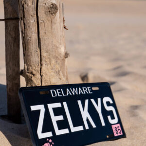 rehoboth delaware novelty license plate vanity car decoration zelkys beach arcade collectible item